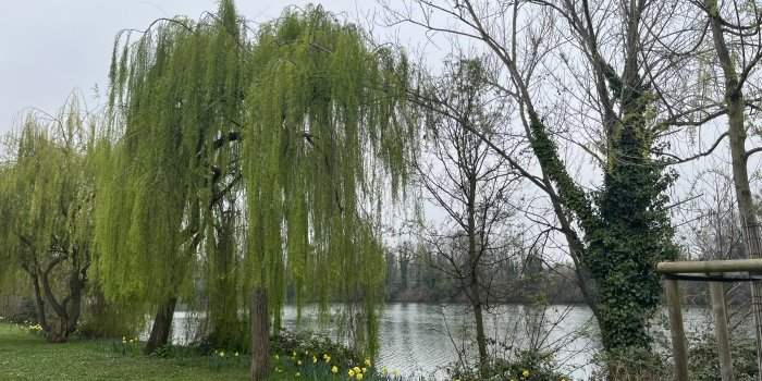 Balade sur le quai de la Seine - Rueil Malmaison 