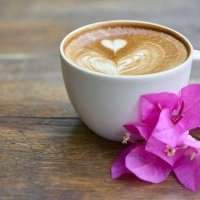 SPRING Coffee Meeting