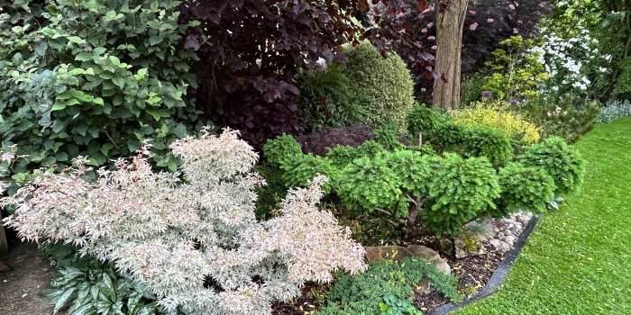 Jardineria