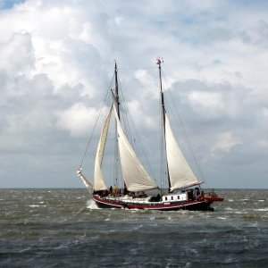Visites et sorties culturelles - Réouverture du musée de la Marine -