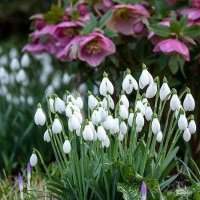 Groupe Jardin - Préparer votre jardin à une nouvelle année