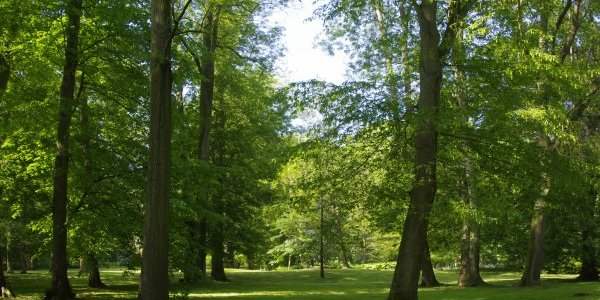 Los alrededores de Saint-Germain-en-Laye