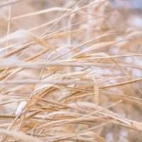 Groupe Jardin - Un jardin pour le changement climatique