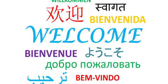 Informations saison 2023 - 2024 pour les Nouvelles Adhérentes - Aide à la réinscription sur le site internet