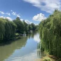 Francophones de retour