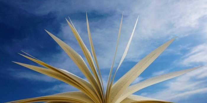 Lire en français