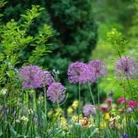 Groupe Jardin - Visite guidée d'un jardin privée
