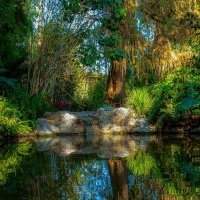 Groupe Jardin - Visite d'un jardin exceptionnel
