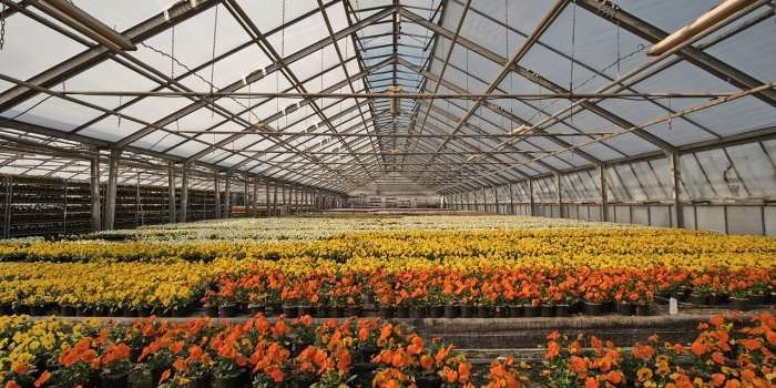 Groupe Jardin - Visite des serres de Poissy