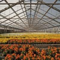Groupe Jardin - Visite des serres de Poissy