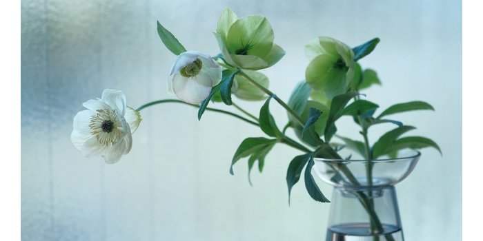 Jardin - Décorations de Noël inspirées du jardin. - organisé à Chambourcy