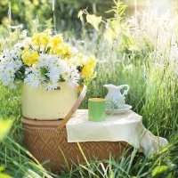 Groupe anglophone picnic