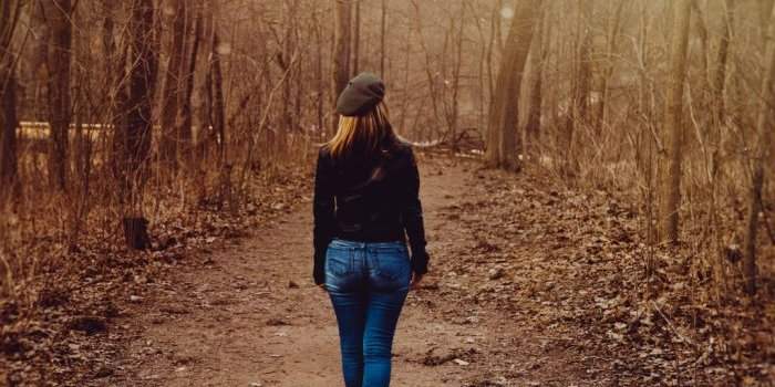 Caminata Por El Bosque