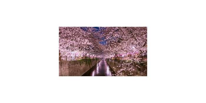 Groupe Japonais - October Coffee / Tea