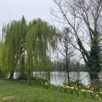 Balade sur le quai de la Seine - Rueil Malmaison 