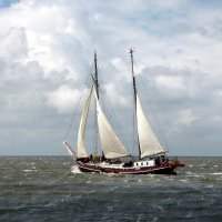 Visites et sorties culturelles - Réouverture du musée de la Marine -