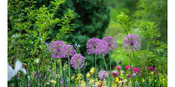 Groupe Jardin - Visite guidée d'un jardin privée