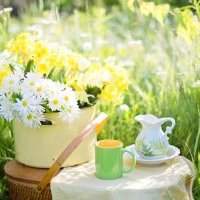 Groupe germanophone : café