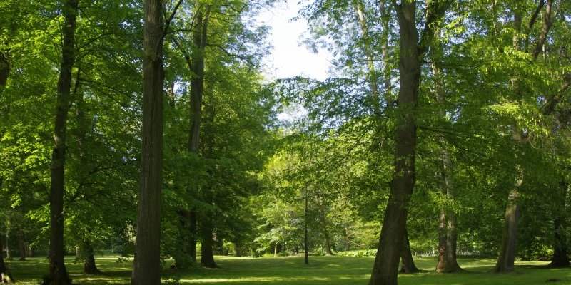 Les environs de Saint-Germain-en-Laye