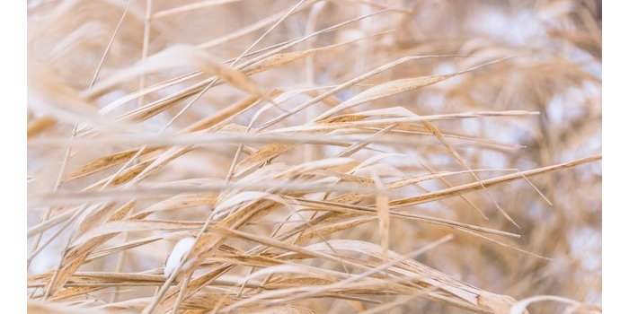 Groupe Jardin - Un jardin pour le changement climatique
