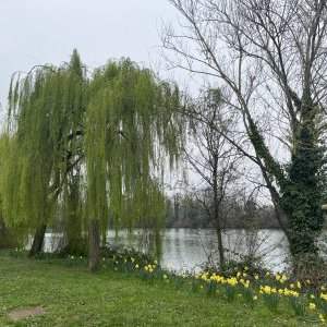 Balade sur le quai de la Seine - Rueil Malmaison 