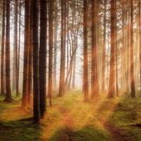 Groupe Jardin - Rencontre du mois de novembre