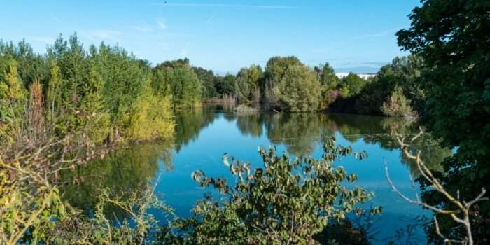 Visite de la Coulée Verte