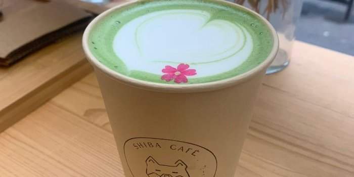CAFE