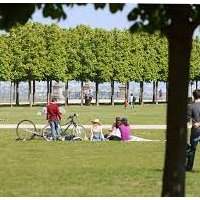Multilingual Mums - Playdate au parc