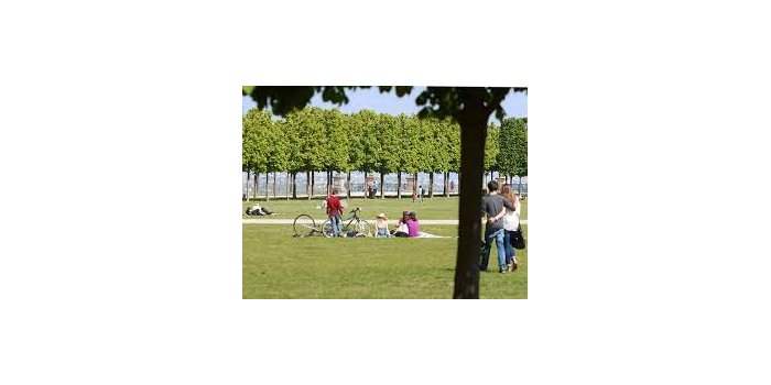 Multilingual Mums - Playdate au parc