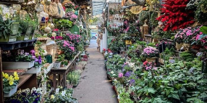 Marché aux Fleurs - Ile de la Cité