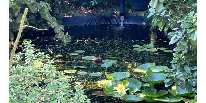 Groupe Jardin - Bassins de jardin