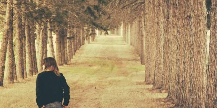 Caminata Por El Bosque 