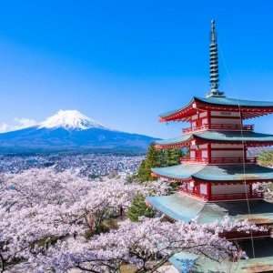 Groupe japonais promenade