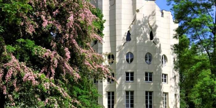 Report - Circuit des arbres remarquables de Louveciennes
