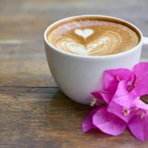Café International ouvert à toutes les adhérentes