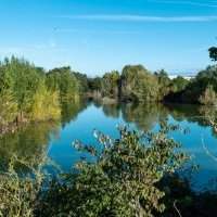 Visite de la Coulée Verte